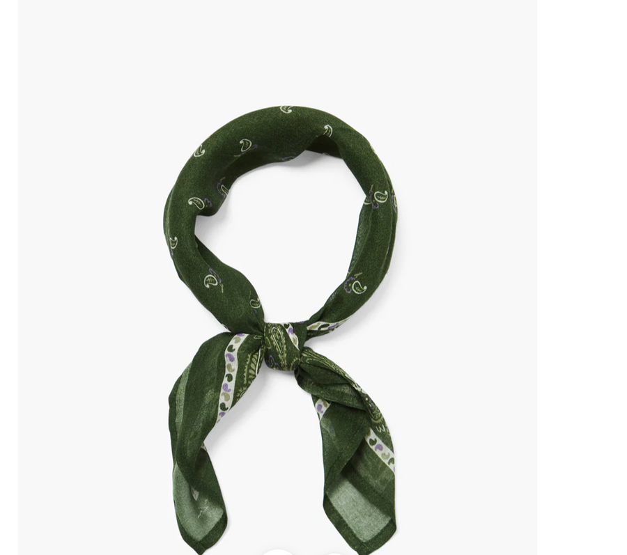 Bandana - Green Paisley